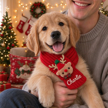 Personalized Embroidered Dogs And Cats Christmas Scarf | MNAccs127